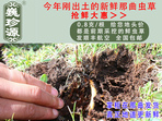 rx(chng)Ĳ շb 0.8/r(ji)80Ԫ/