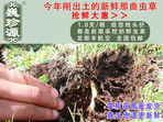 rx(chng)Ĳ շb 1/r(ji)100Ԫ/