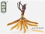 x(chng)Ĳ2.2l/ ڲ x؛r(ji)286Ԫ/