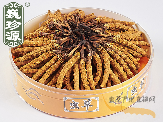 xĲ^ڲ,x^xĲ^x^ڲΡԴx^3l/