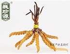 x(chng)Ĳ2.5l/ ڲ x؛r(ji)252Ԫ/