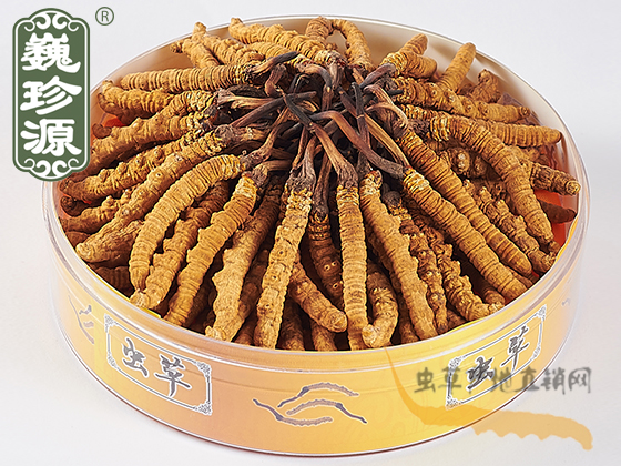^ڶxĲݣ2/^xxĲ